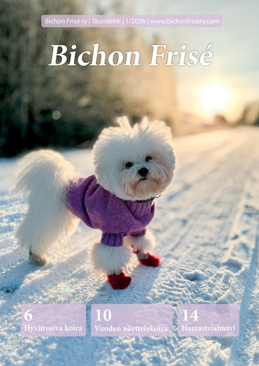 Bichon Frise lehti 1_2026