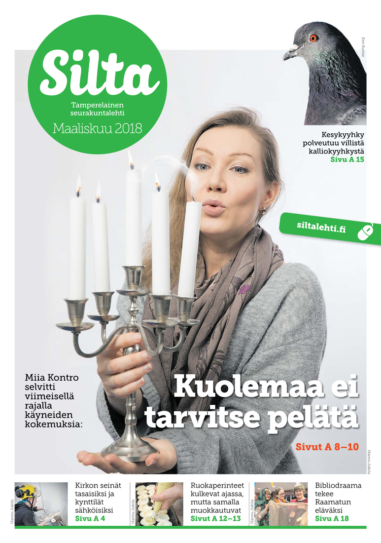 Silta maaliskuu 2018