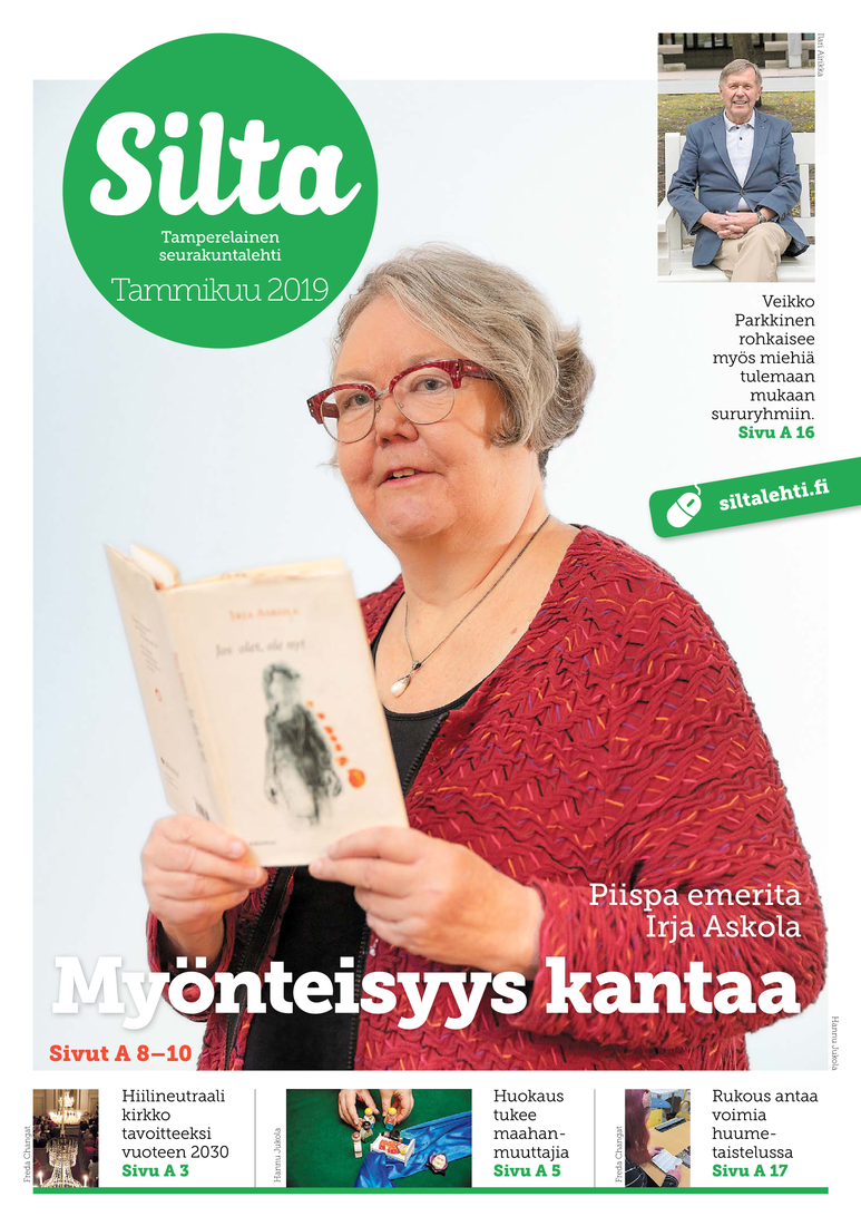 Silta tammikuu 2019