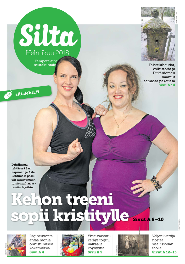 Silta helmikuu 2018