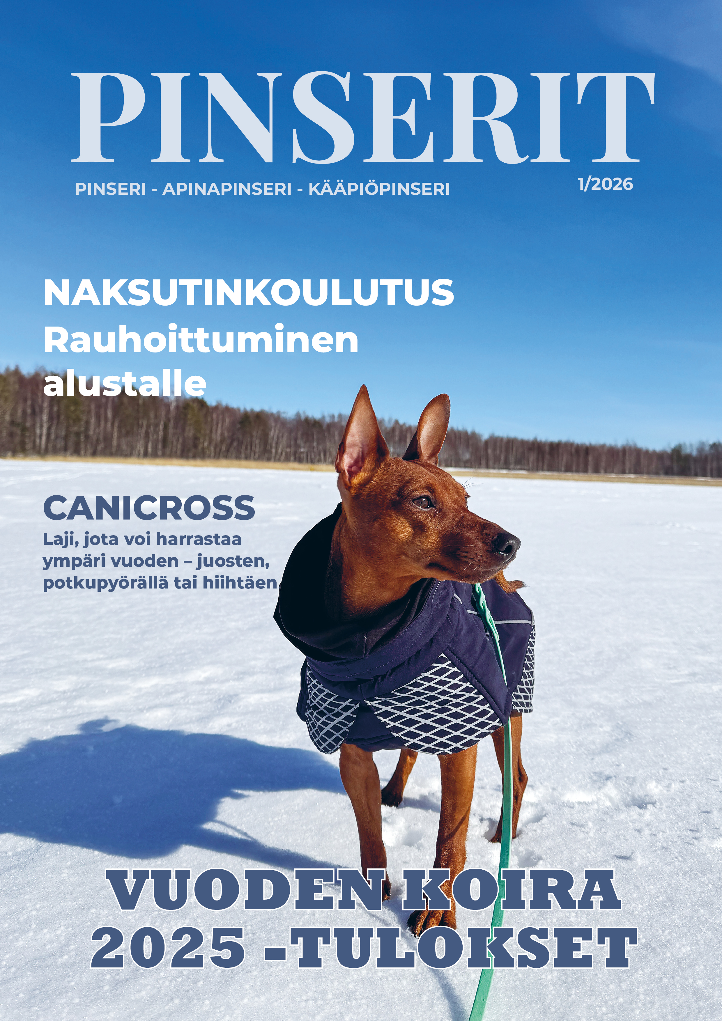 library category image