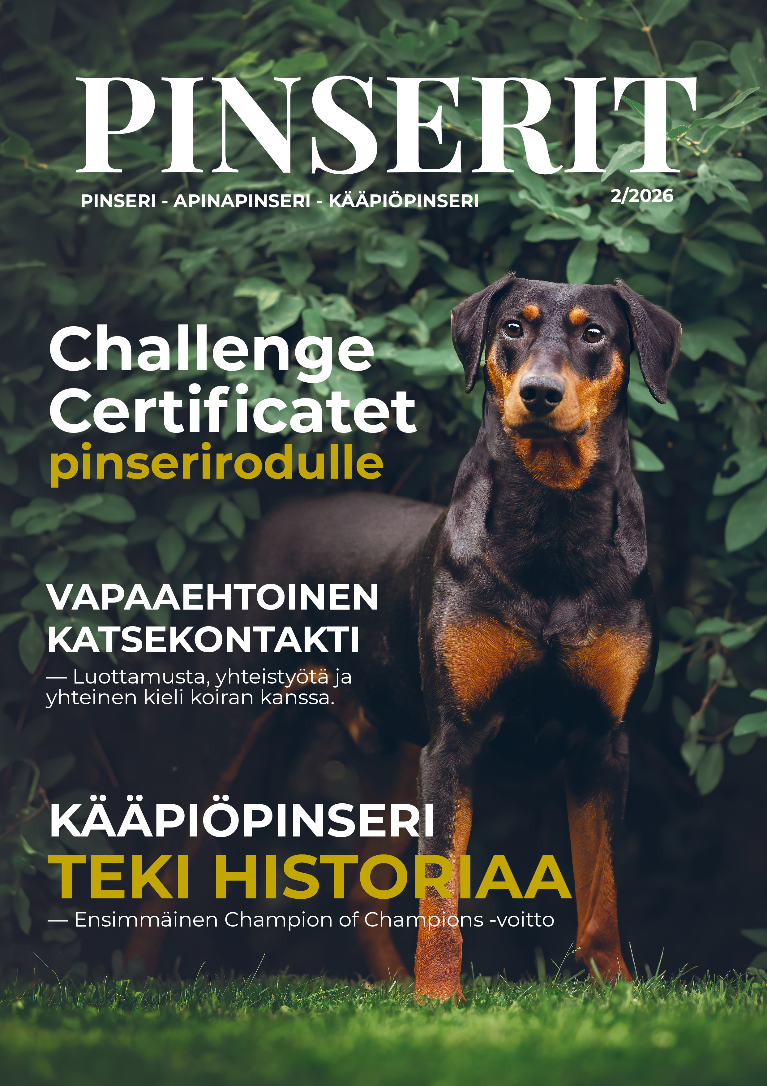 library category image